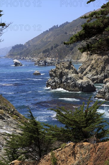 A rocky coast with trees falls steeply into the foamy sea, Big Sur Pfeiffer, US 1, North America,