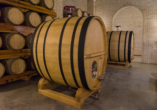 Oak barrels for wine aging in an underground cellar in Vale dos Vinhedos