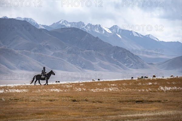 Nomadic life on a plateau, shepherd on horse, flock of sheep, dramatic high mountains, Tian Shan