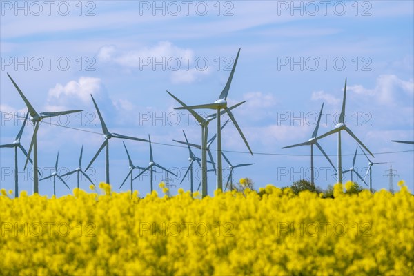 Wind turbines in the Luetetsburg wind farm behind a rape field on the North Sea coast, Hagermarsch,
