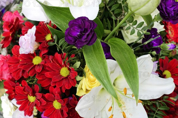 Colourful bouquet of white Lily, (Lilium candidum) red and purple flowers, flower sale, Hamburg