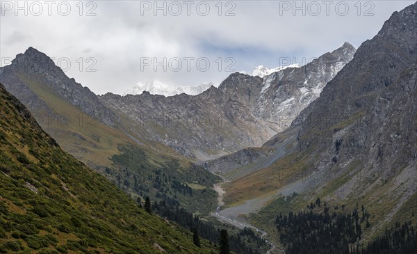 Green Mountain Valley, Chong Kyzyl Suu Valley, Terskey Ala Too, Tien-Shan Mountains, Kyrgyzstan,