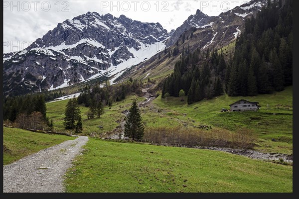 Gemsteltal, left behind Widderstein, right Berhardsgemstel-Alpe, Mittelberg, Kleinwalsertal,