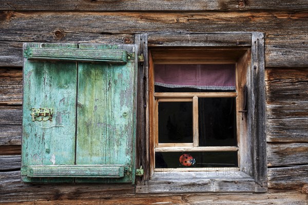 Window with shutter, Naturalpe Gemstel-Schoenesboden-Alpe, Gemsteltal, Mittelberg, Kleinwalsertal,