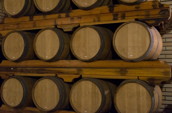 Oak barrels for wine aging in an underground cellar in Vale dos Vinhedos