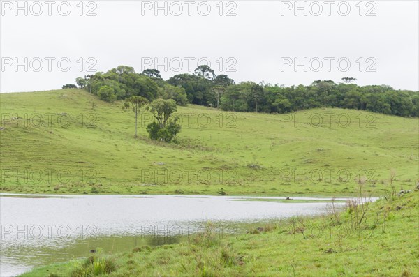 Landscape of the gaucho mountain range, Cambara do sul, Rio Grande do sul, Brazil, South America