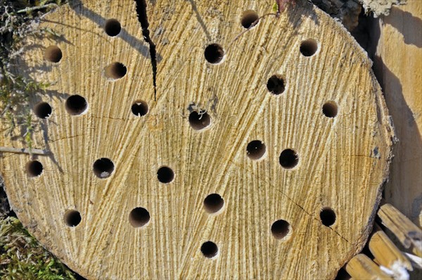 Nesting aid for wild bees and other insects with wooden logs, wild bee nesting aid, insect nesting