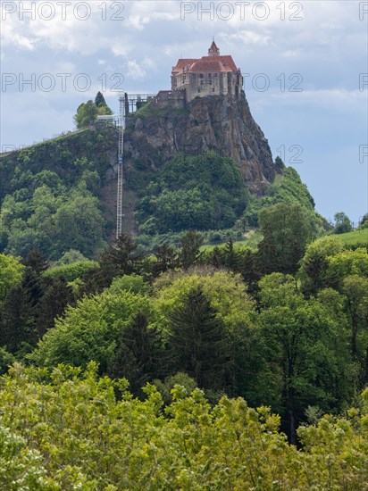 Forest edge, Riegersburg Castle in the background, Styrian volcanic country near Riegersburg,