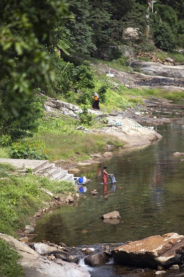 Indian woman washing clothes in the Periyar River, Mundakayam, Kerala, India, Asia