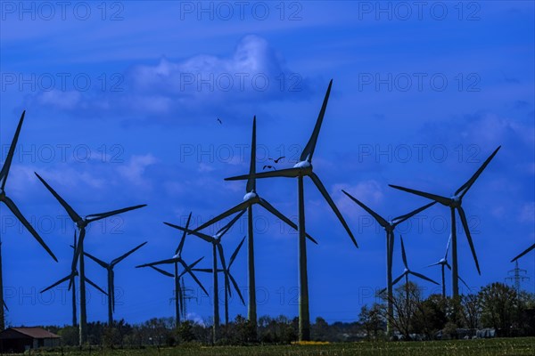 Wind turbines in the Luetetsburg wind farm on the North Sea coast, Hagermarsch, East Frisia, Lower