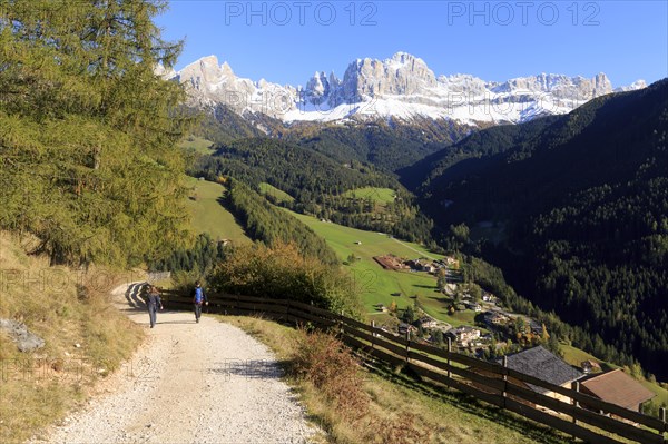 Hikers on a path with a breathtaking mountain panorama and autumnal meadows, Italy, Alto Adige,