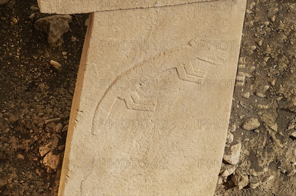 Gobekli Tepe neolithic archaeological site dating from 10 millennium BC, Massive stone pillars with