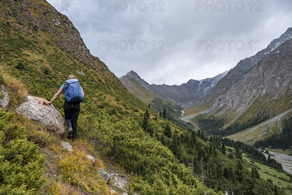 Hiker, Green Mountain Valley, Chong Kyzyl Suu Valley, Terskey Ala Too, Tien-Shan Mountains,