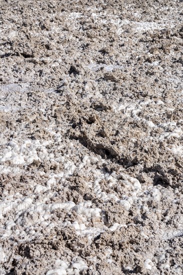 Salt structure, Laguna Chaxa Park, San Pedro de Atacama, Antofagasta, Chile, South America