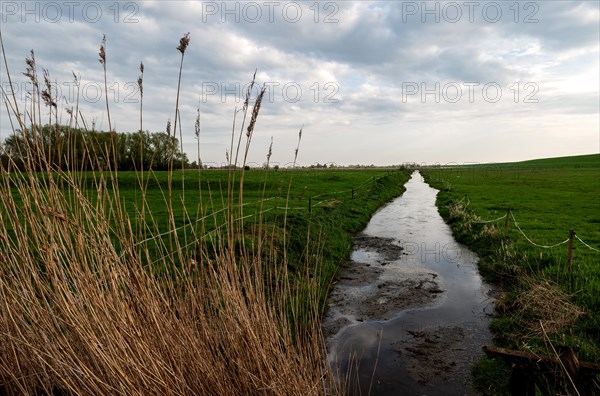 View of the Wymeerer Sieltief in southern direction, Pogum, municipality of Jemgum, district of