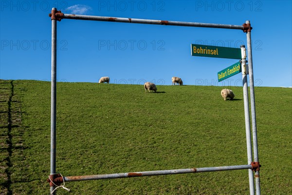 Signposts for drilling platform and Dollart or Ems view on the dyke to the Ems in Pogum,