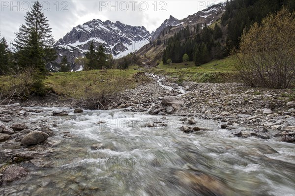 Gemstelbach, behind Widderstein, Gemsteltal, Mittelberg, Kleinwalsertal, Vorarlberg, Allgaeu Alps,