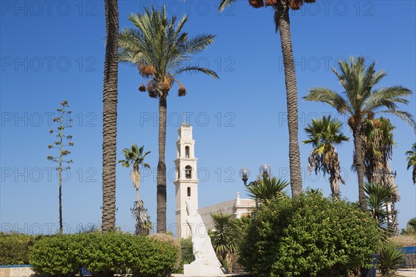 St-Peter's Church through Phoenix dactylifera, Date palm trees, Abrasha Park, Jaffa, Israel, Asia