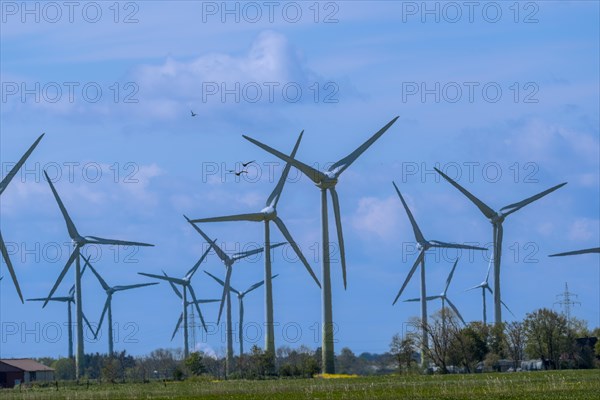 Wind turbines in the Luetetsburg wind farm on the North Sea coast, Hagermarsch, East Frisia, Lower