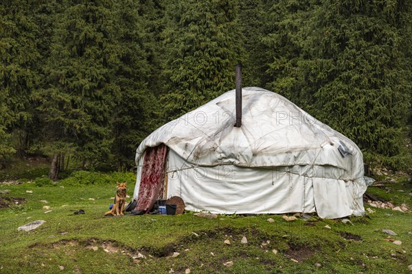 Yurt, Terskey Ala Too, Kyrgyzstan, Asia