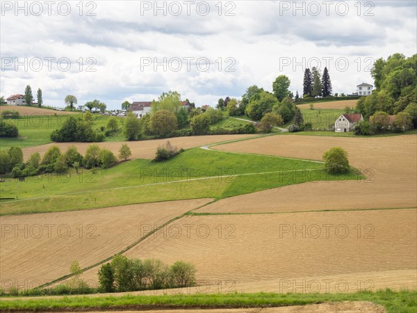 Field path leads through arable land, agricultural land, near Riegersburg, Styrian volcanic region,