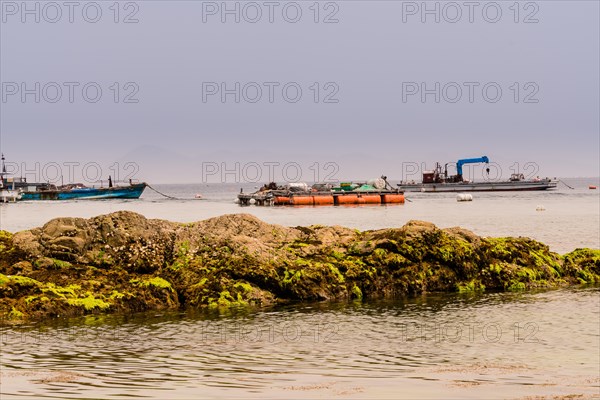Seascape of large boulder covered with green algae with three fishing boats in the sea and a dull