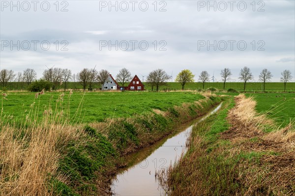 Drainage ditch and two lonely houses between Ditzum and Pogum, view in north direction, behind Ems
