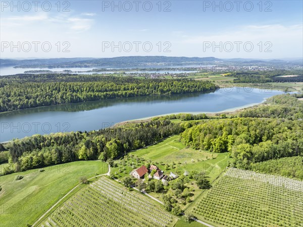 Aerial view of Lake Mindelsee, a glacier tongue lake on the Bodanrueck, on the horizon on the left