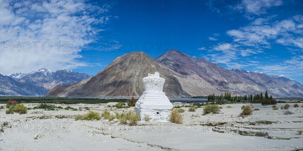 Tschoerten near Hunder, Nubra Valley, Ladakh, Jammu and Kashmir, Indian Himalayas, North India,