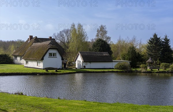 Holiday homes by a small pond, Binz, Ruegen, Mecklenburg-Vorpommern, Germany, Europe