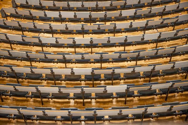 View from above of empty rows of seats in a lecture theatre, interior photo, Department of