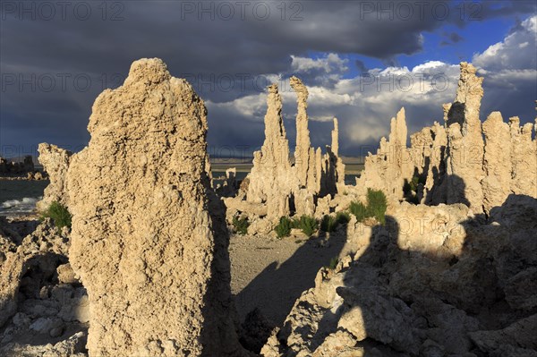 Large tufa columns under a dramatic sky with shadows, Mono Lake, North America, USA, South-West,