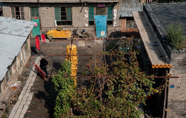 Chinese, house, travel, shanxi, china
