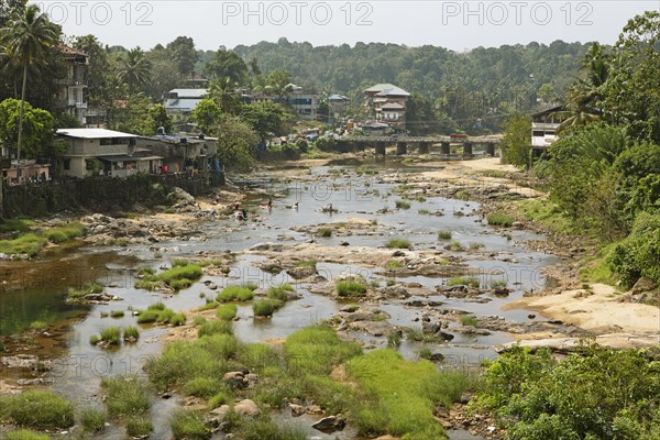 Indian people washing clothes in the Periyar River, Mundakayam, Kerala, India, Asia
