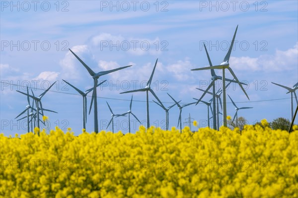 Wind turbines in the Luetetsburg wind farm behind a rape field on the North Sea coast, Hagermarsch,