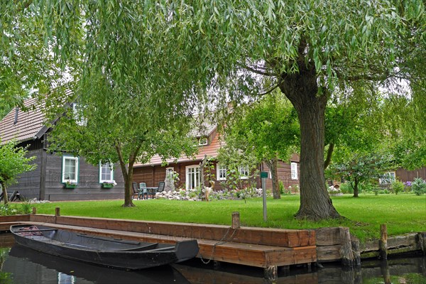 Spreewald, biosphere reserve, Brandenburg, Germany, Europe