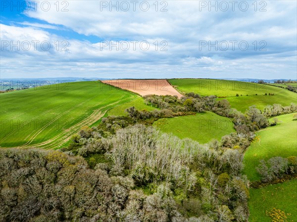 Forest, Farms and Farms over Long Wood and River Dart from a drone, Dartmouth, Kingswear, Devon,