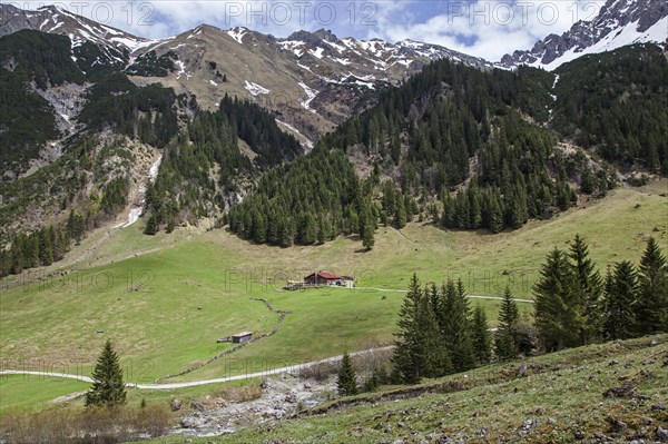 Gemsteltal, centre of Naturalpe Gemstel-Schoenesboden-Alpe, Mittelberg, Kleinwalsertal, Vorarlberg,