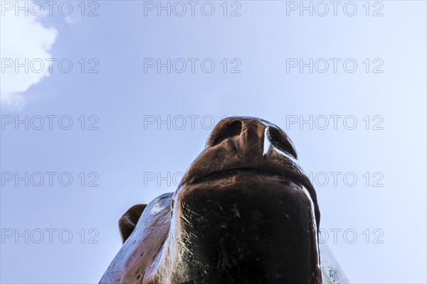 Bear statue, bronze sculpture on Boersenplatz, Frankfurt, Hesse