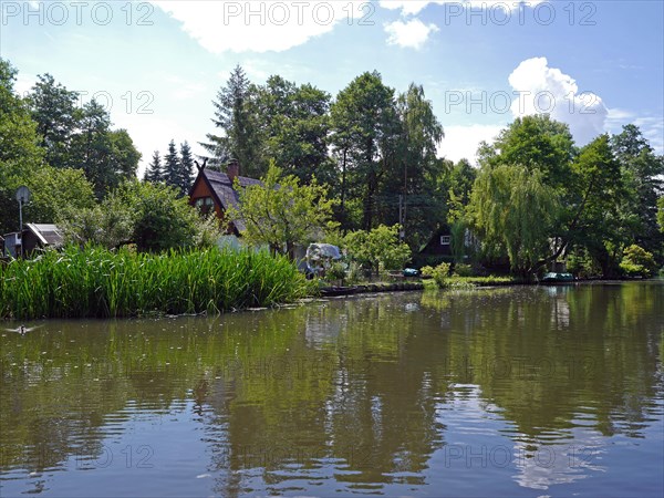 Spreewald, biosphere reserve, Brandenburg, Germany, Europe