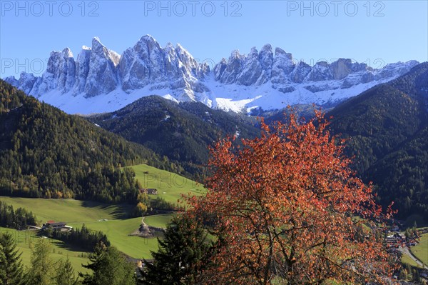 Sunny landscape with a village, autumn trees and snow-covered mountains, Italy, Trentino-Alto