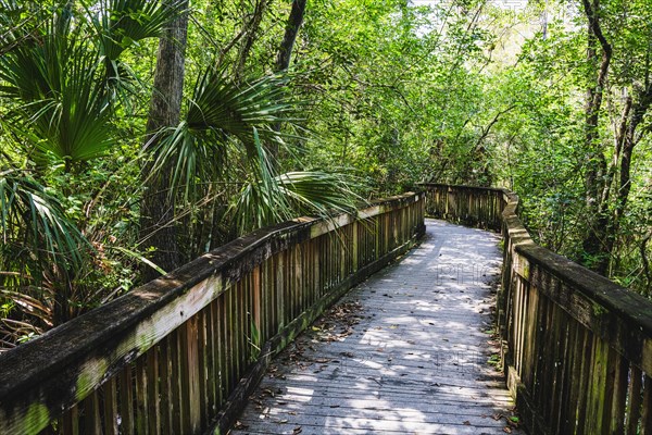 Kirby Storter Roadside Park, Tamiami Trail East, Ochopee, Everglades, Florida, USA, North America