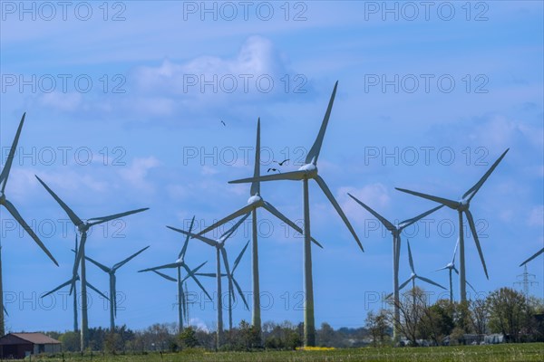 Wind turbines in the Luetetsburg wind farm on the North Sea coast, Hagermarsch, East Frisia, Lower