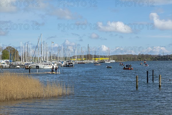 Marina, Oat, herring fishing, Kappeln, Schlei, Schleswig-Holstein, Germany, Europe