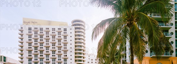 Royal Palm South Beach Miami, Umbrella and beach bed renting, Miami Beach, Florida, USA, North