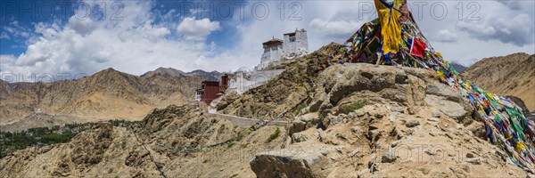Namgyal Tsemo Gompa Monastery, Tsenmo Hills, Leh, Ladakh, Jammu and Kashmir, India, Asia