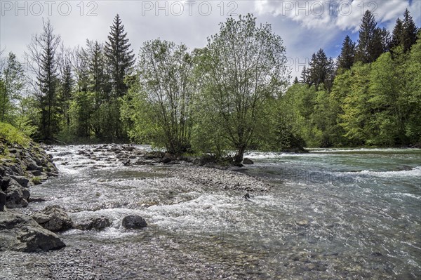 Illersprung, confluence of the Trettach, Breitach and Stillach rivers, between Oberstdorf and Fish,