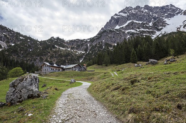 Hiking trail through green meadows, behind Hintere Gemstel-Huette and Widderstein, Gemsteltal,