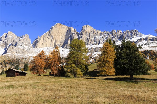 Snow on rocky peaks behind a meadow with a wooden hut in autumn, Italy, Alto Adige, Bolzano