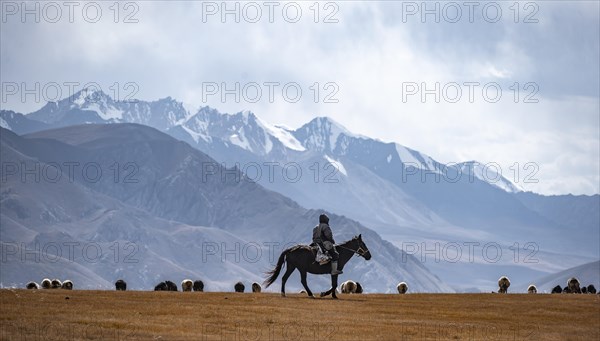 Nomadic life on a plateau, shepherd on horse, flock of sheep, dramatic high mountains, Tian Shan